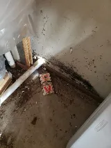 Ameristar Termite & Pest Control photo 4