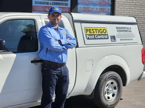 Pestigo Pest Control Brampton photo 1