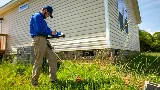 Ray's Pest Control and Wildlife Removal photo 2