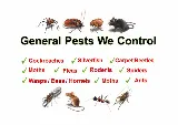 United Exterminators