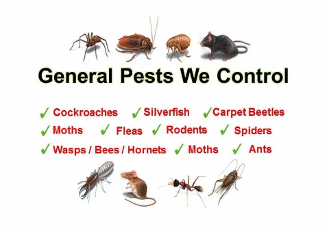United Exterminators photo 1