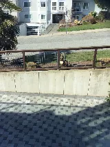 White Rock Lawn and Yard Care Ltd. photo 7