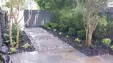 Low Country Landscapes Inc. AKA Low Country Lawn Management photo 2