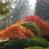 Island Eco-Scapes photo 5