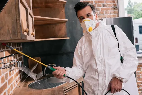 Rapid Pest Control Chula Vista photo 1