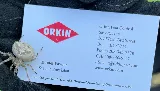 Orkin photo 4