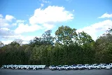 Harvest Lawn Care photo 7