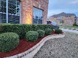 Lone Star Lawns, Arlington, TX photo 2
