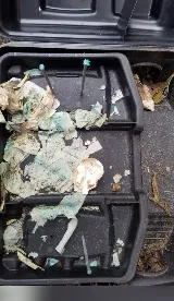 Easy Way Pest Control photo 2