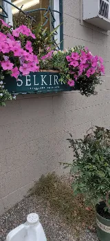 Selkirk Landscape LLC photo 4