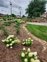 Seeds of Change Landscaping & Lawn Care photo 5