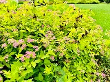 Enviro-Pro Professional Pest Management, Inc photo 4