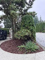 Sutherland Landscaping
