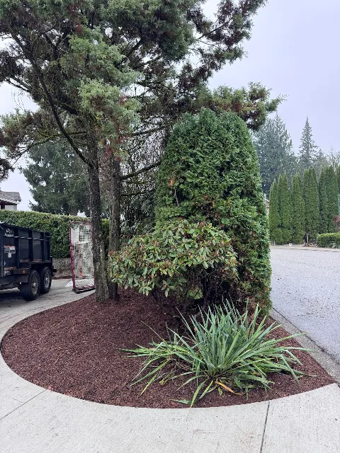 Sutherland Landscaping photo 1