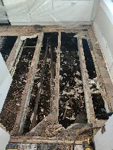 Alpha Foundations photo 8
