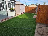 JG Lawns Turf photo 4
