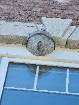Truly Nolen Pest Control & Exterminators Oakville photo 7