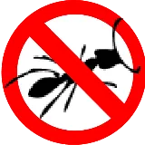 Comox / Campbell River PEST CONTROL photo 4