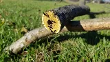 Target Pest Control photo 6