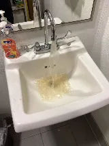 The Houston Plumbing Company photo 8