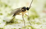 Versa-Tech Pest Management photo 8