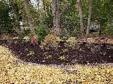 Distinctive Landscaping Inc. photo 4