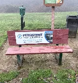 Persistent Pest Solutions photo 8