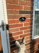 Urbanex Pest Control photo 3