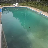 Serenity Pools & Landscaping photo 4