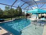 Tropical Escapes Pool Builders, LLC. photo 2
