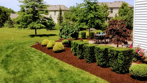 J&J Landscaping and Construction LLC photo 1