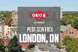 Orkin Canada Pest Control