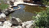 AZ Mobile Pool Service photo 7