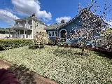 Earthborn Landscape Services photo 8