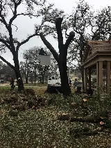 Ortega's Lawn and Landscaping, LLC photo 6