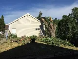 Big Al's Landscaping photo 7