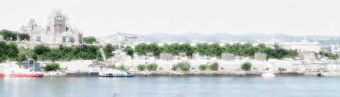 Gestion Parasitaire de la capitale photo 1