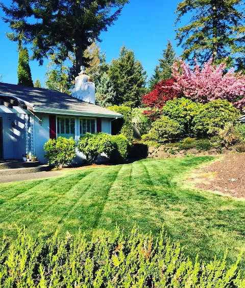 Royal Landscaping & Hauling in Tacoma