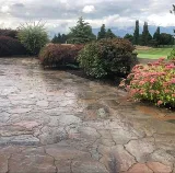 Pacific Paradise Landscaping photo 6