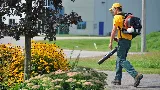 The Grounds Guys of Billings photo 6