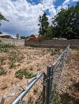 Lopez Cares Landscaping, LLC photo 4