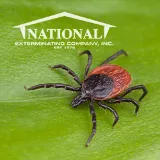 National Exterminating Company Inc photo 4