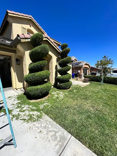 Angelo Landscaping services photo 1