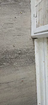 Champion Pest Control photo 4