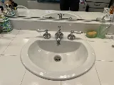 Paws Plumbing photo 4