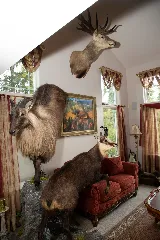 Alisons Relocations, Inc. (ARI) photo 6