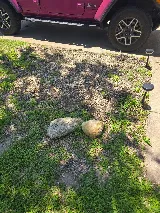 Brents Tree Service photo 5