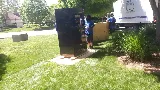 All In Movers photo 6