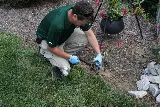 B.O.G. Pest Control photo 6