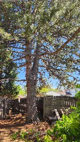 Rodriguez Landscape, Inc photo 3